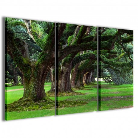 Quadro Poster Tela Secular Plants 100x70 - 1