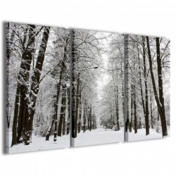 Quadro Poster Tela Snow In Autumn 100x70