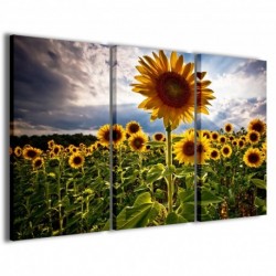 Quadro Poster Tela Sunflowers V 100x70 - 1