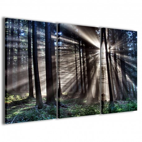 Quadro Poster Tela Sunlight 100x70 - 1