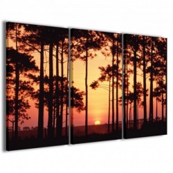 Quadro Poster Tela Sunset Through The Trees 100x70 - 1